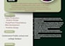design a professional CV and resume with up to date